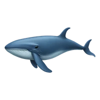 rouzbeh's profile picture