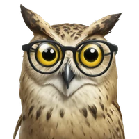 Kathrin Bungart's profile picture