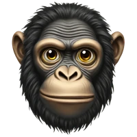 Jan Hendrik Metzen's profile picture