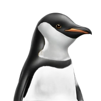 Mathias Monberg's profile picture