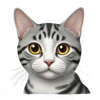 Will Qiu's profile picture