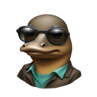 Hofstetter's profile picture