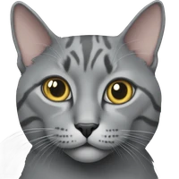 Catalin Milu's profile picture