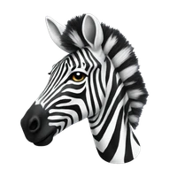 Othmane Abderrazik's profile picture