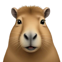 Alisson Ramos's profile picture