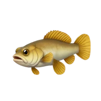 Alexis Gobé's profile picture