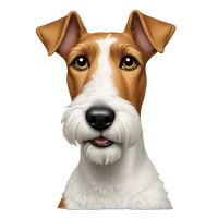 Diego Rosaperez's profile picture