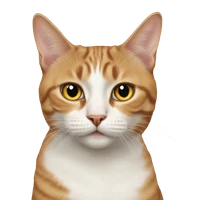 Jang Hyunjin's profile picture