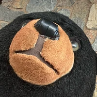 Yu Irie's profile picture