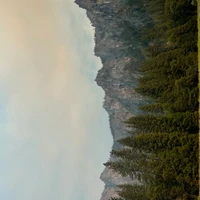 Kenechi Okoye's profile picture