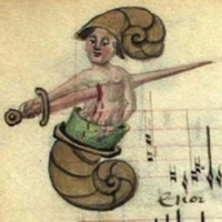 Tomer Zekharya's profile picture