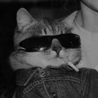 Juan G. Saurith's profile picture