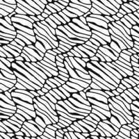 Felipe Valderrama Ballesteros's profile picture