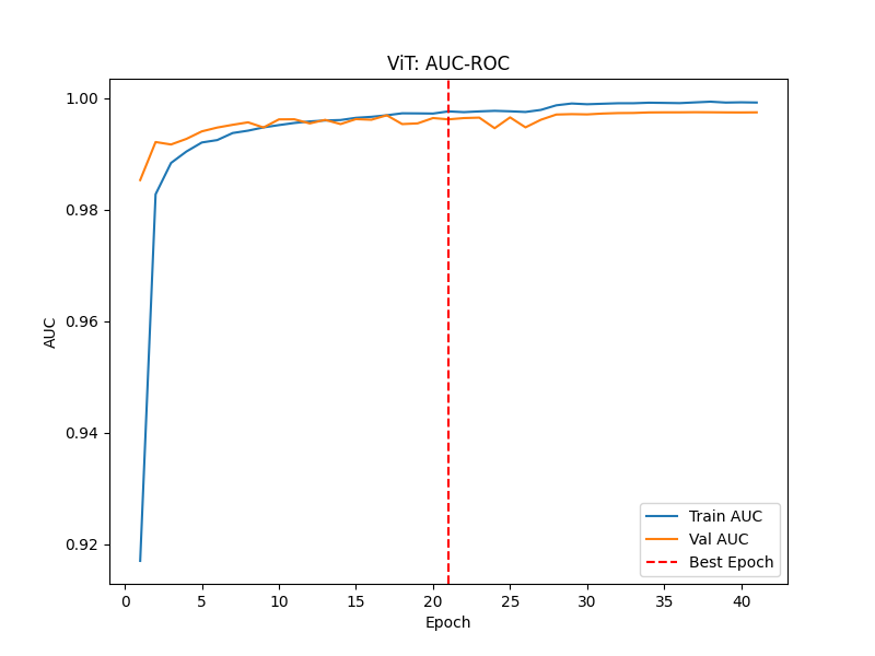 ViT_auc.png