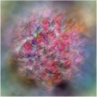 XAI Team Serre Lab - Brown University's profile picture