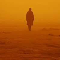 Hao Man's profile picture