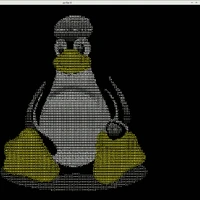 PKD's profile picture