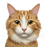 Mingrui Chen's profile picture