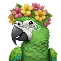 Liang Zhao's profile picture