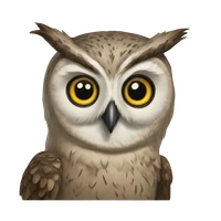 Yihong Yao's profile picture