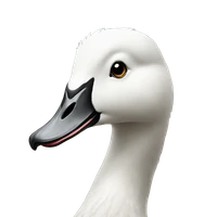 README's profile picture