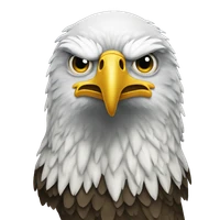 mukhtar's profile picture