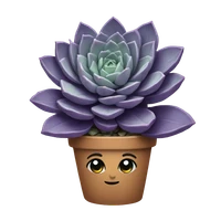 Monica Yaji Barreto's profile picture