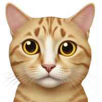 Le Phong Hao's profile picture