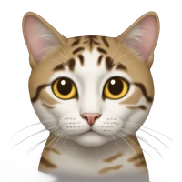 liubai's profile picture