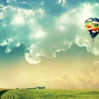 Jason Zhou's profile picture